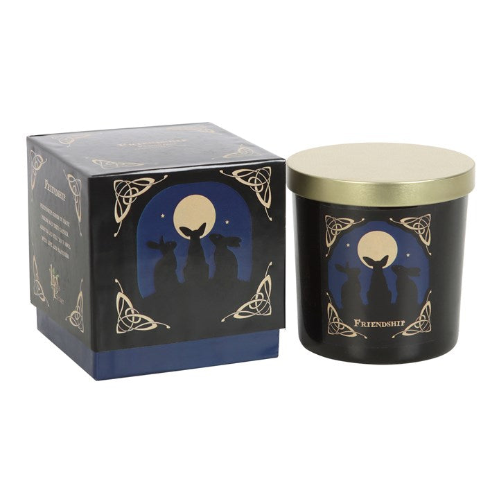 Moon gazing candle frangipani fragrance