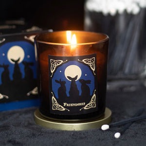 Moon gazing candle frangipani fragrance